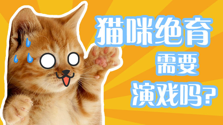 给猫做绝育真的需要演戏吗