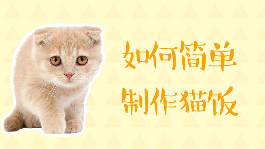 如何简单制作猫饭