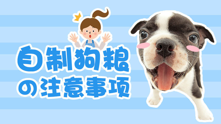 自制狗粮的注意事项