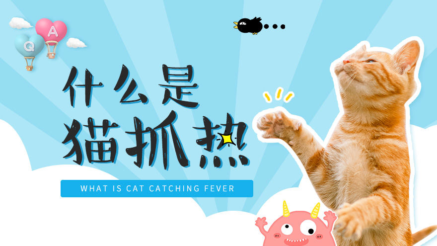 什么是猫抓热