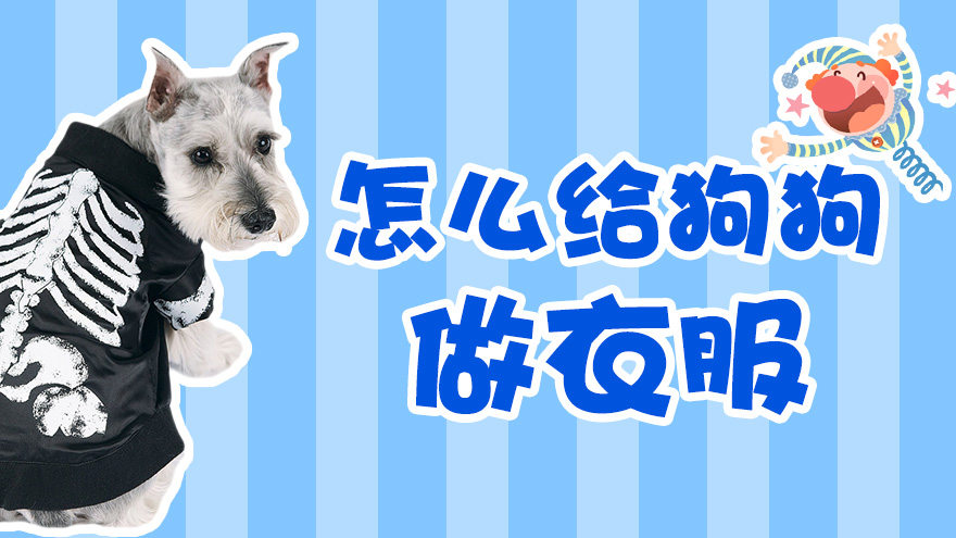 怎么给狗狗做衣服