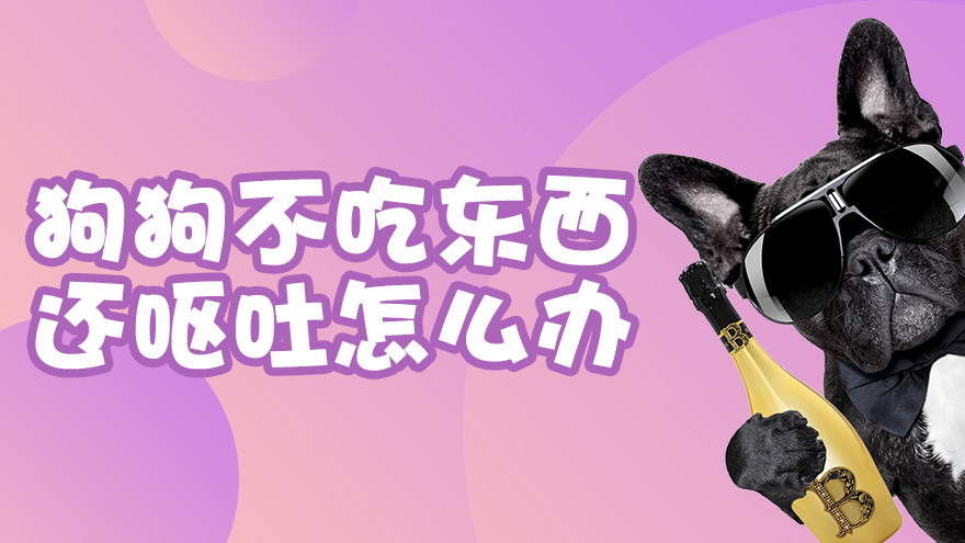 狗狗不吃东西还呕吐怎么办