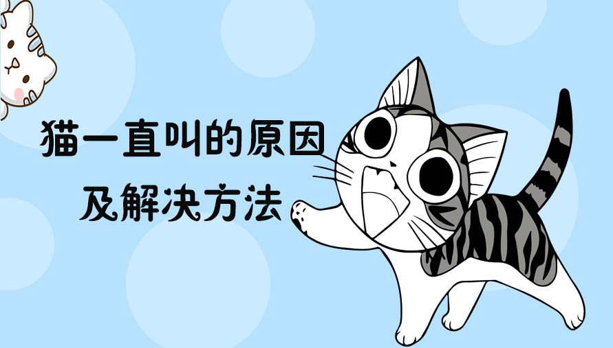 小猫一直叫的原因 解决方法有哪些