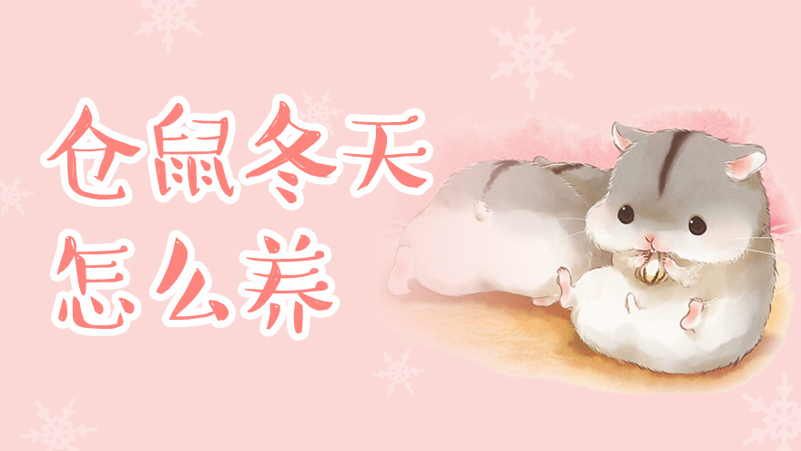 仓鼠冬天怎么养