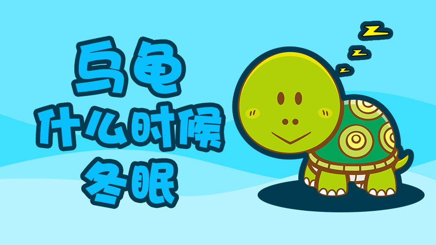 乌龟是什么时候冬眠的