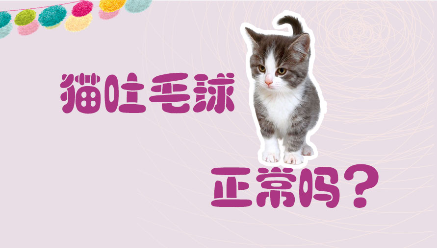 猫吐毛球正常吗