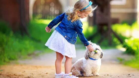 什么样的狗适合家养