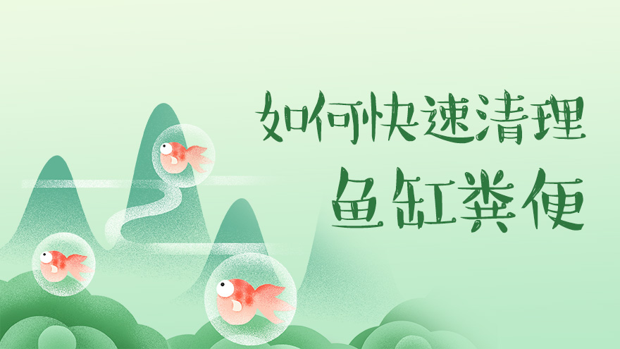 如何简单快速的清理鱼缸里鱼的粪便