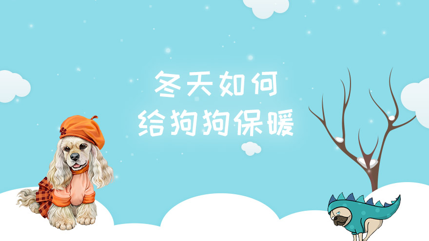冬天如何给狗狗取暖