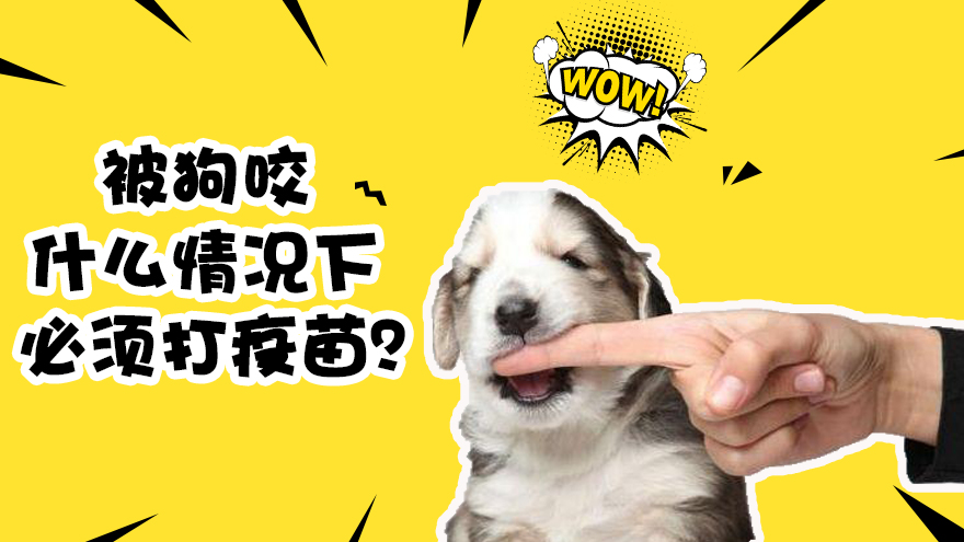 被狗咬什么情况下必须打疫苗