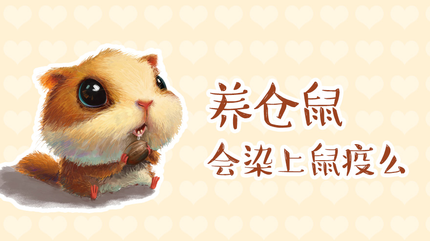 养仓鼠是否会染上鼠疫