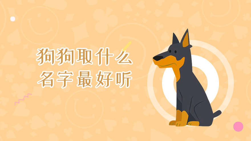 狗狗取什么名字最好听