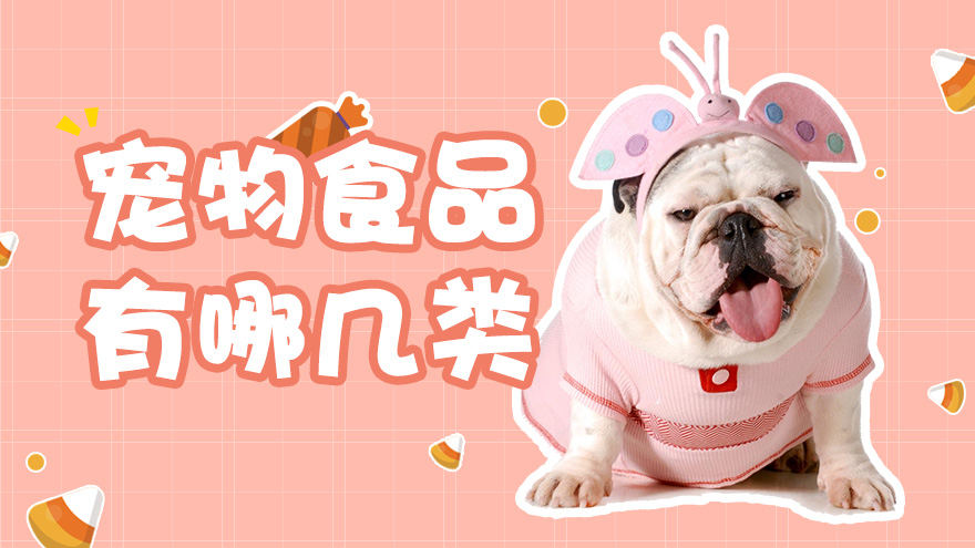 宠物食品有哪几类