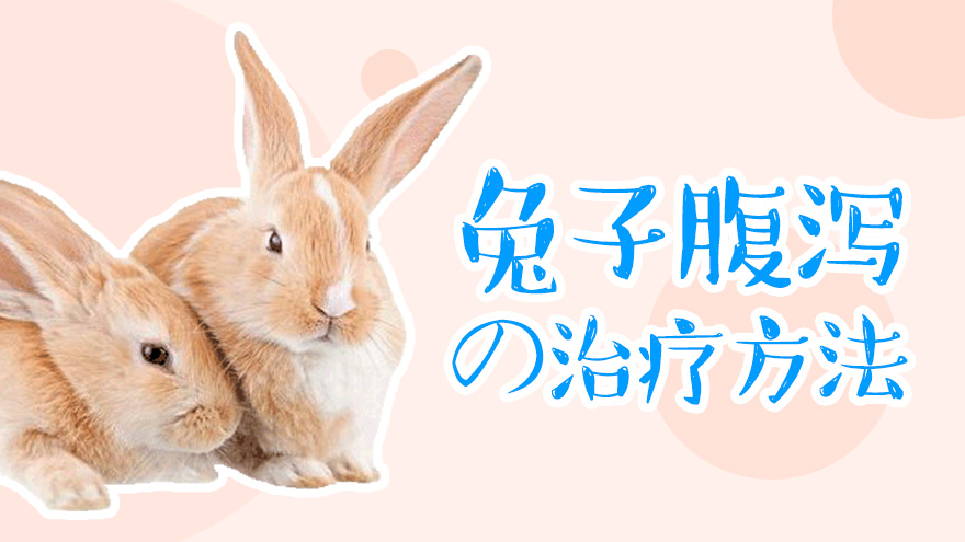 兔子拉肚子拉稀腹泻的治疗方法