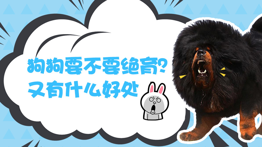 狗狗要不要绝育又有什么好处