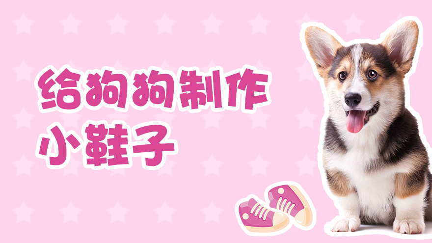 怎样给狗狗制作温暖牌小鞋子