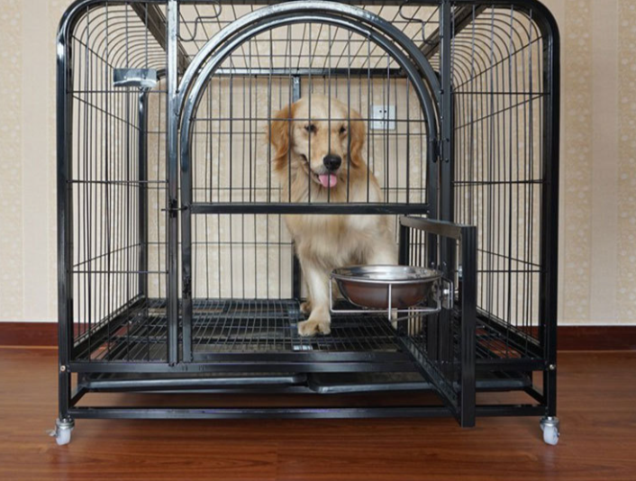 2个月的小狗在笼子里一直叫