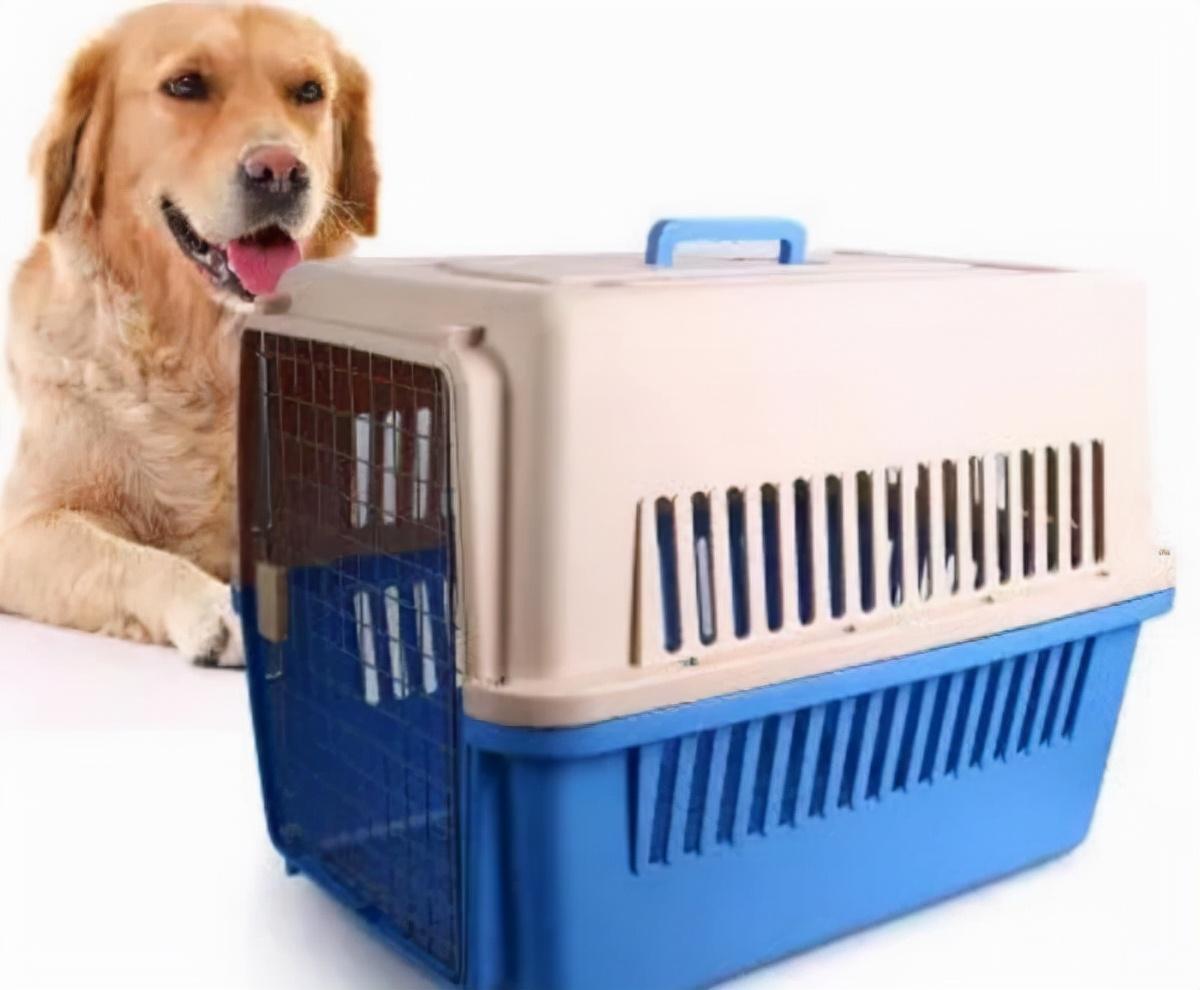 狗怎么托运到外地