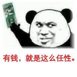 广东骨嘴沙皮犬什么价位