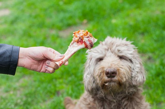 狗吃鸡骨头会怎样