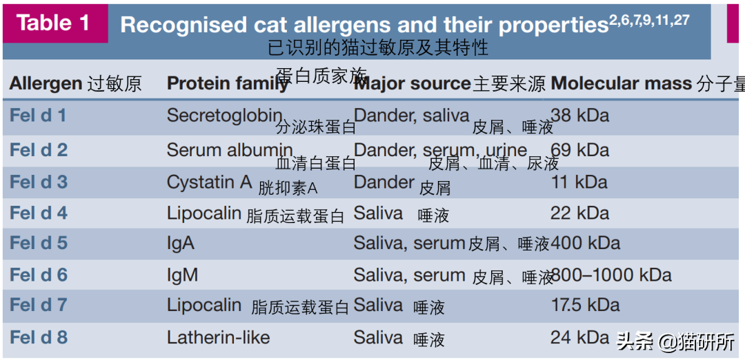 人对猫过敏有哪些症状