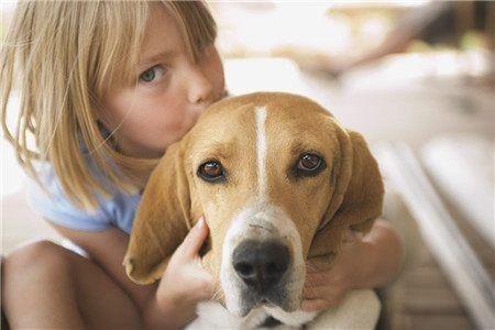 几个月的狗狗算成年犬