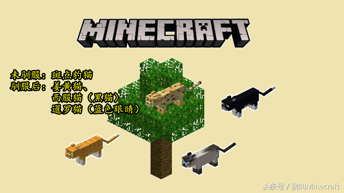 minecraft豹猫怎么驯服