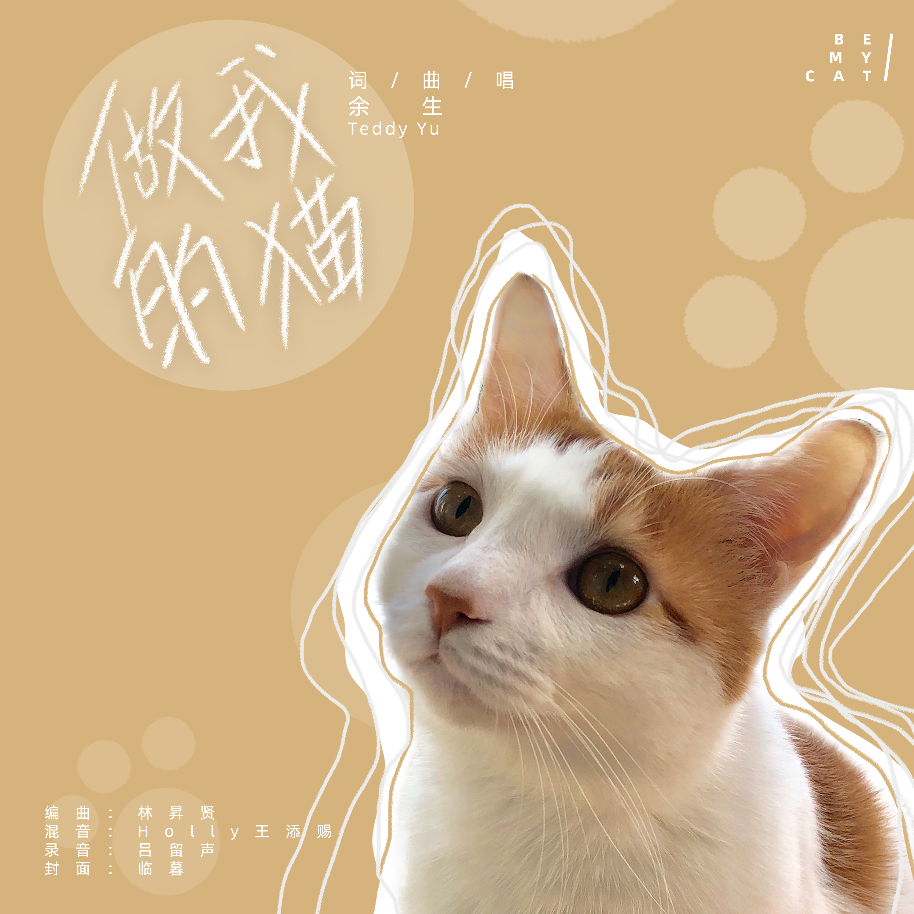 《做我的猫》歌词