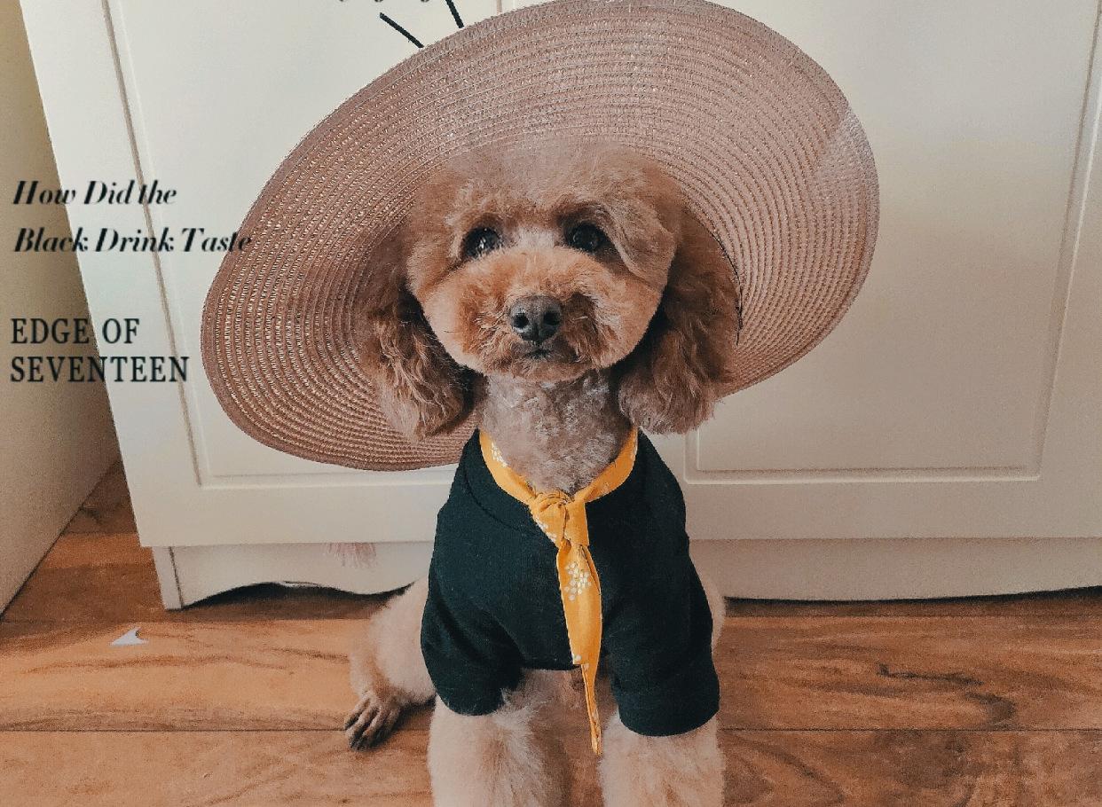 狗狗变形记怎么说