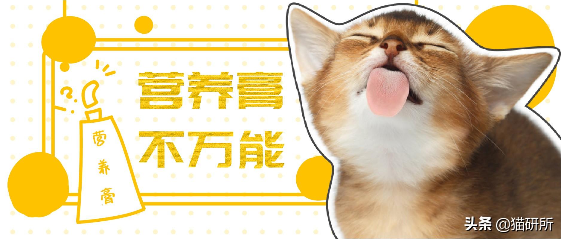 猫咪营养膏多久吃一次