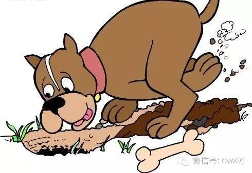 狗和骨头的故事