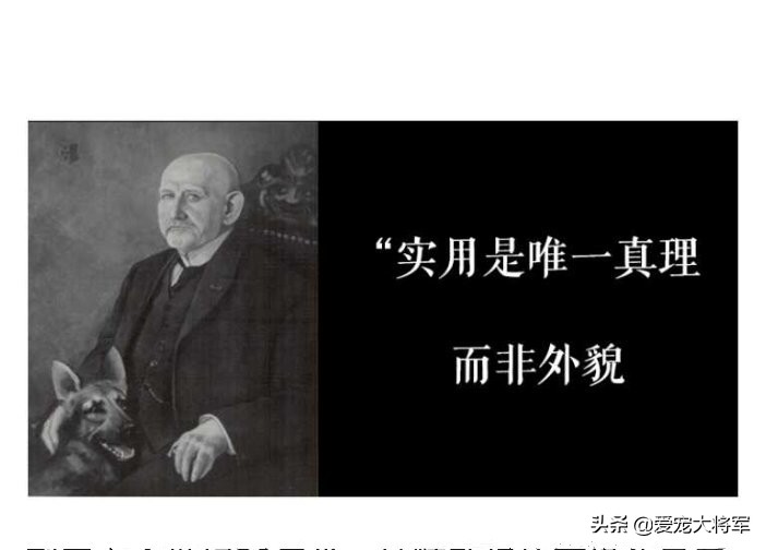 弓背犬是什么狗