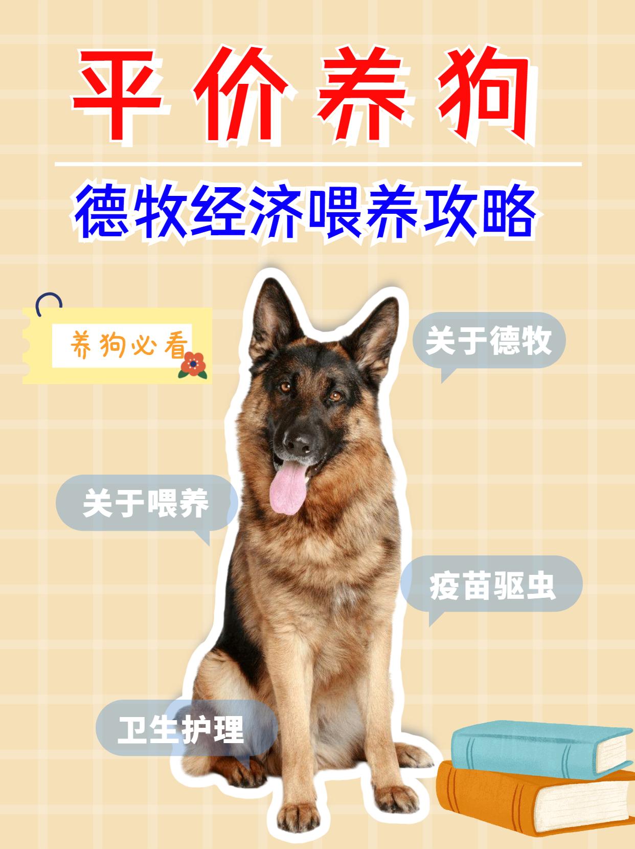 德国牧羊犬吃什么食物最好
