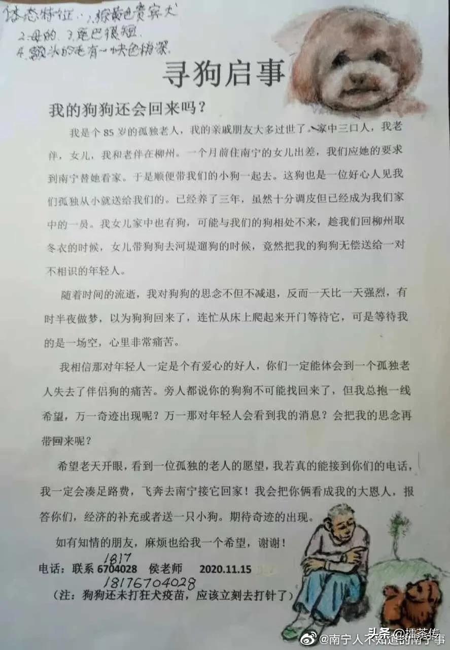 寻狗主启示怎么写