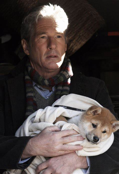 忠八公犬的故事