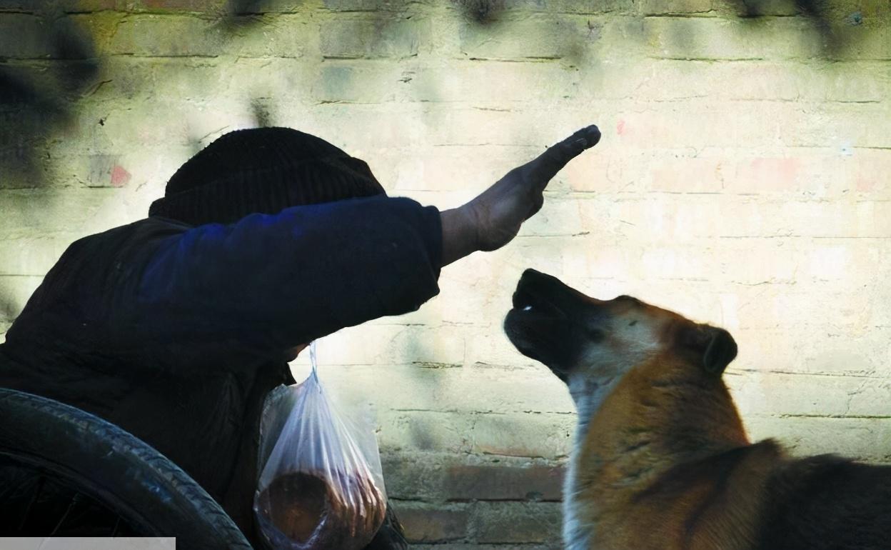 主人打狗狗会被记仇不