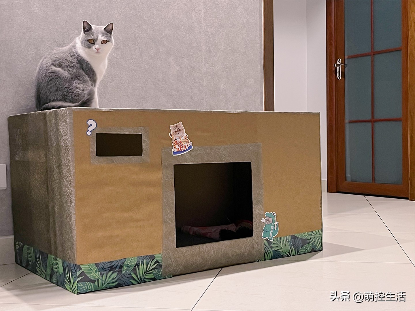 宠物猫房子制作过程