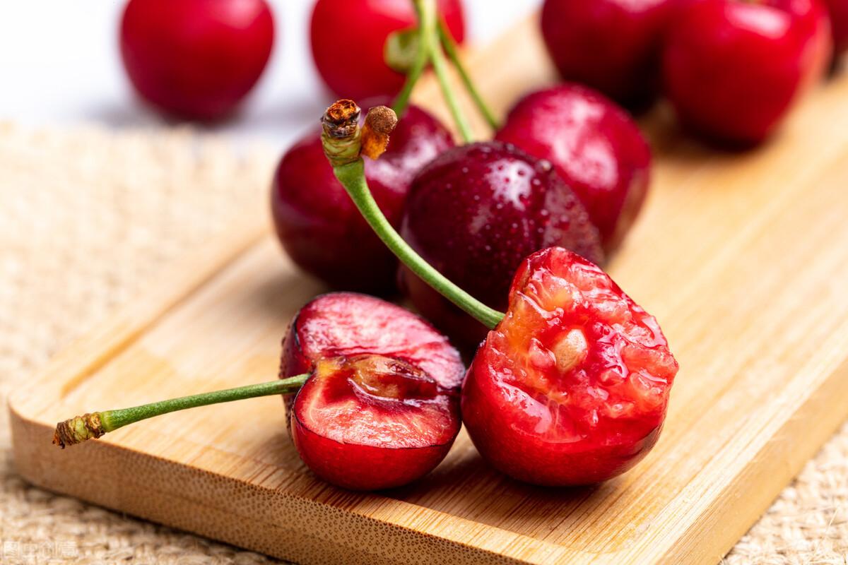 狗能吃车厘子不