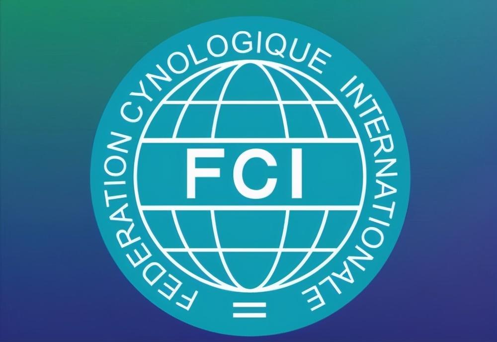 国内顶级德牧羊犬犬舍