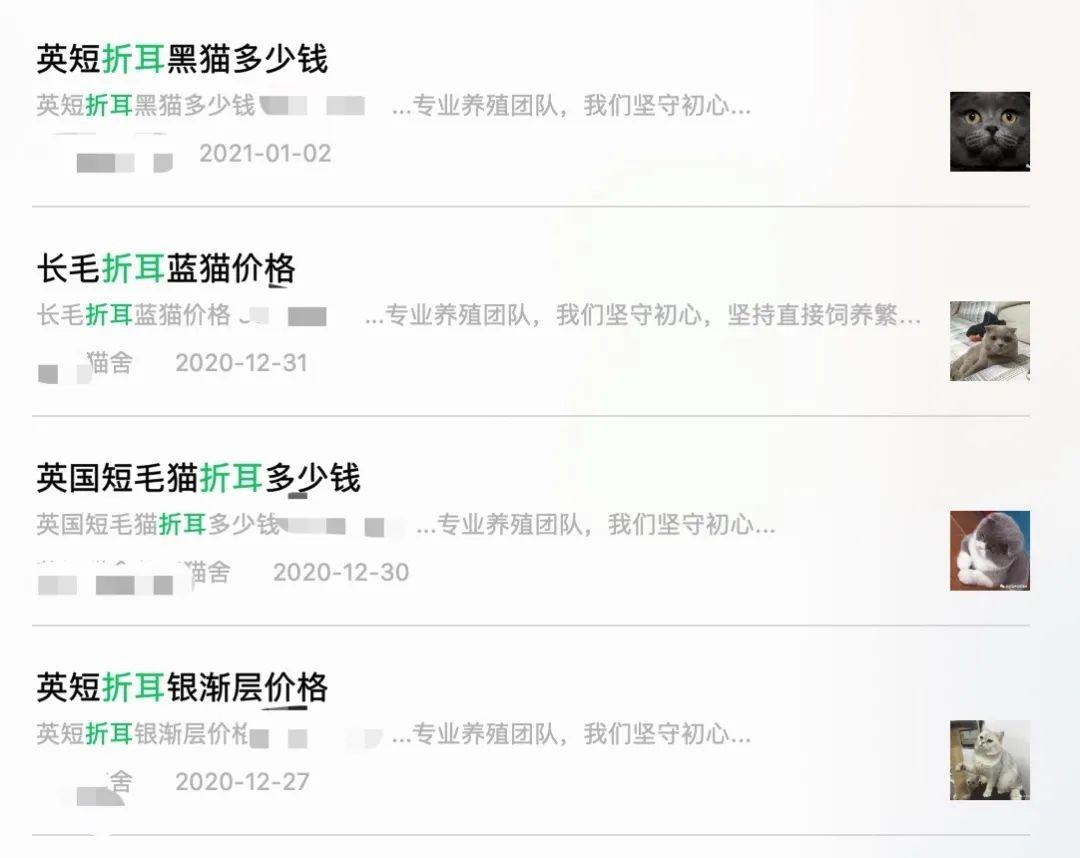 折耳猫发病之后能活多久