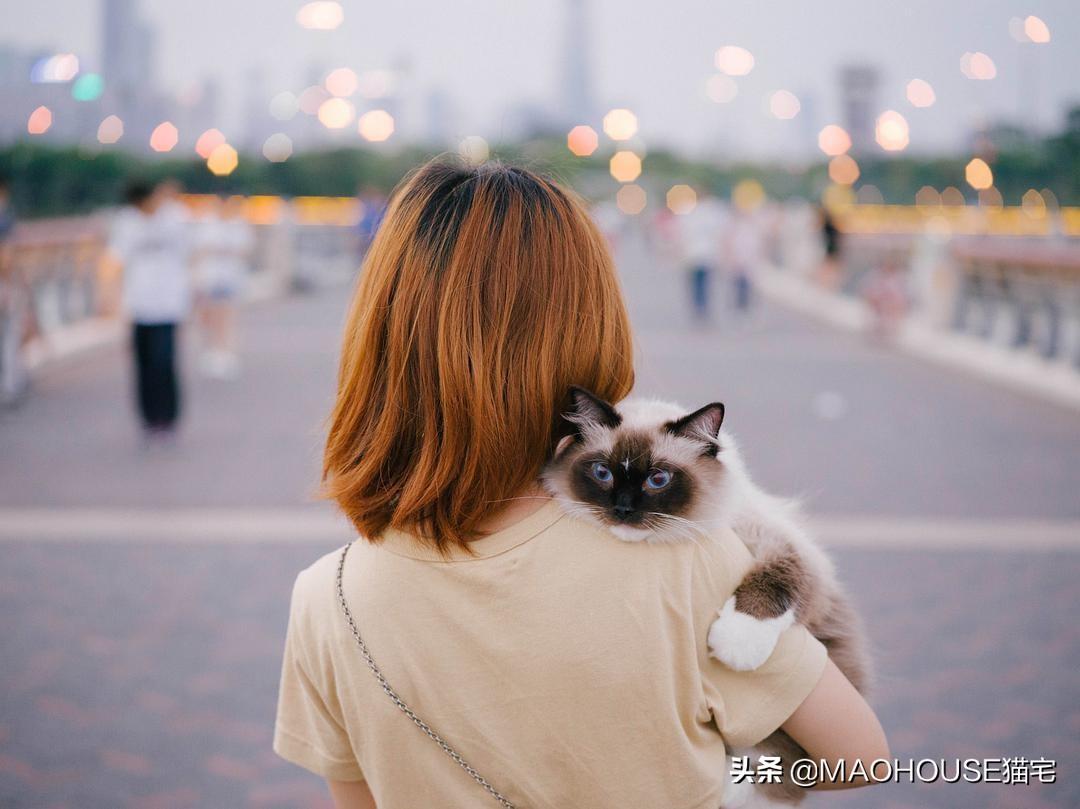 猫拉链的绳子怎么绑好看又简单