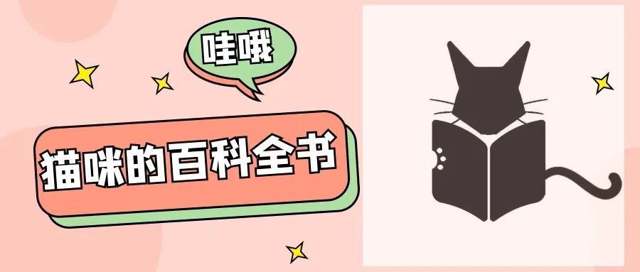 猫咪肥厚型心肌病能活多久