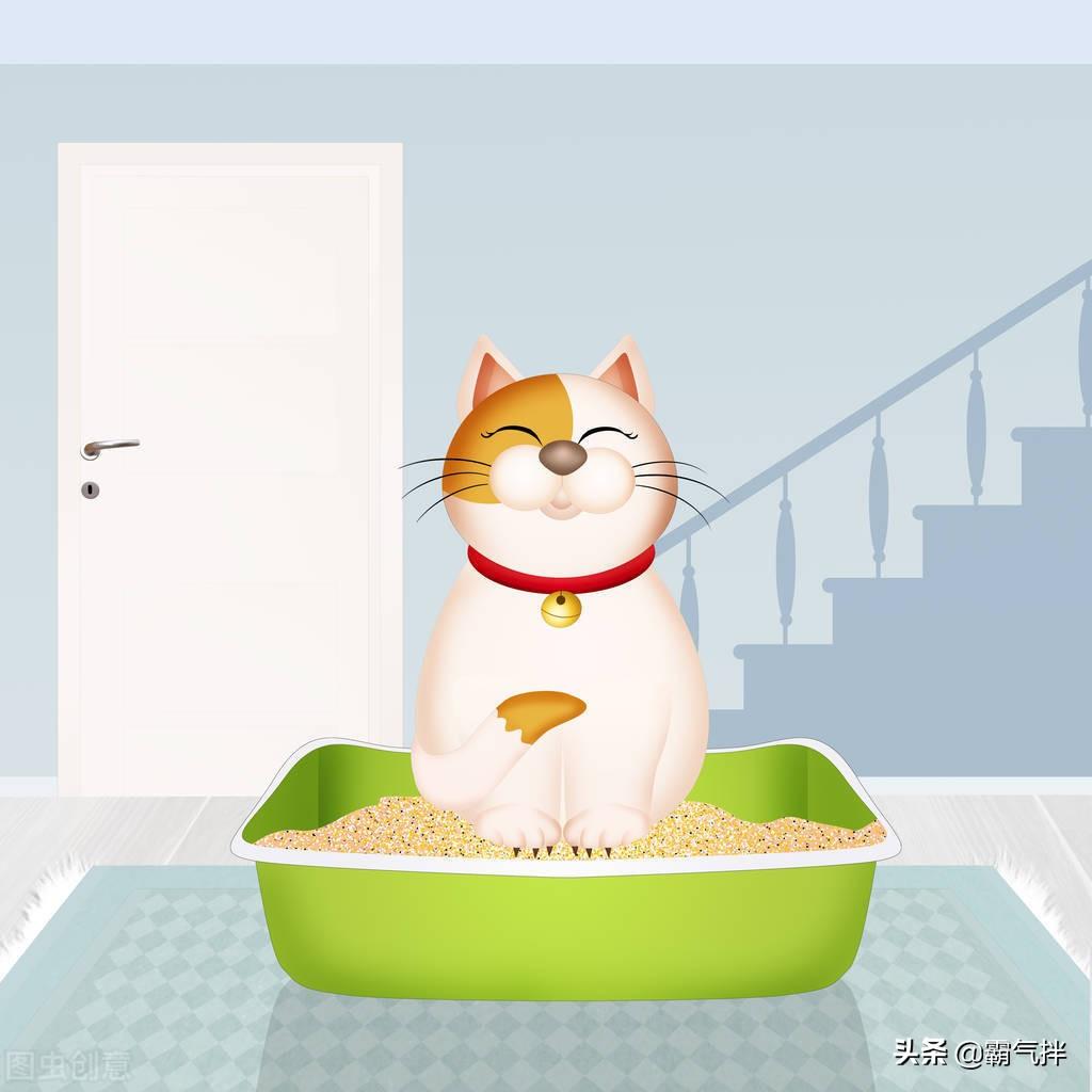 换猫砂要把旧的全部倒掉吗