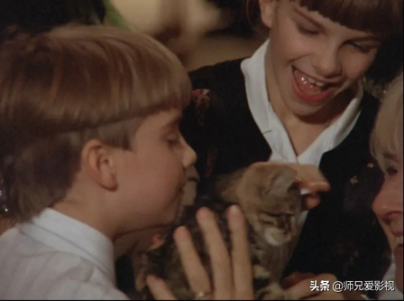 关于猫咪的影视剧有哪些