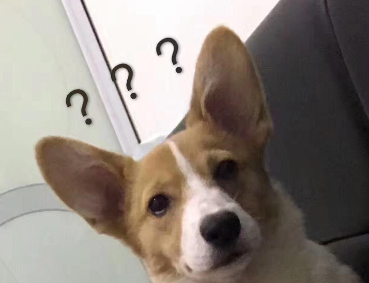 读懂狗狗的几种行为