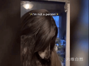 阿富汗猎犬多少钱