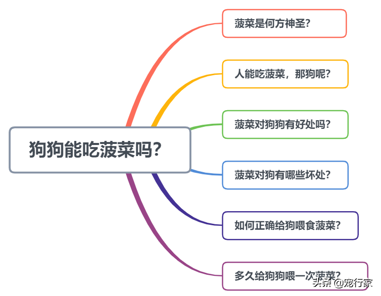 狗狗能吃菠菜吗