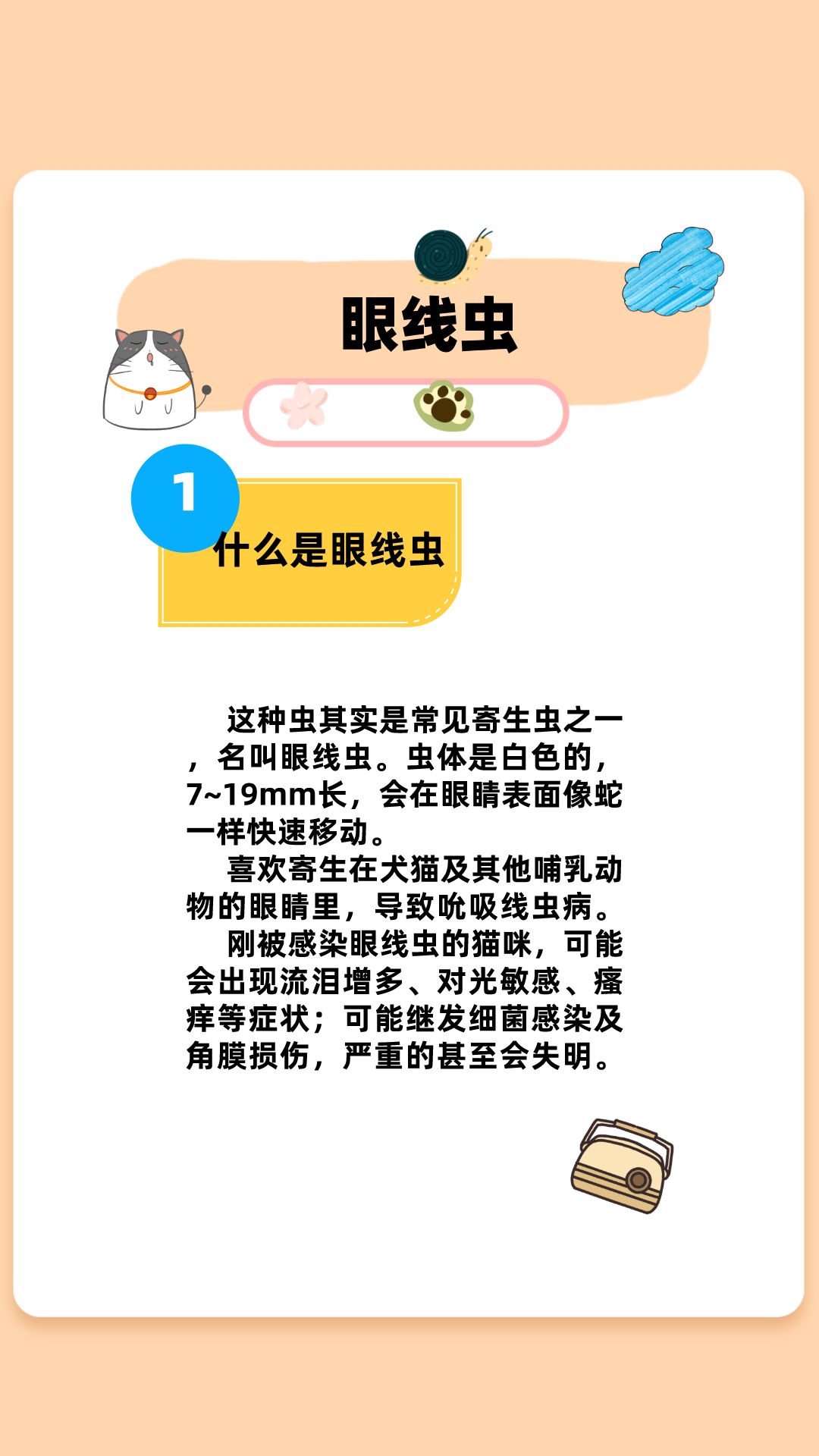 怎样判断猫咪眼线虫