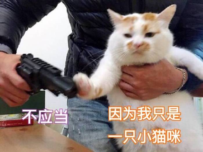 半夜猫叫是怎么回事
