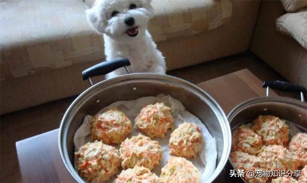 自己在家做狗粮的配方